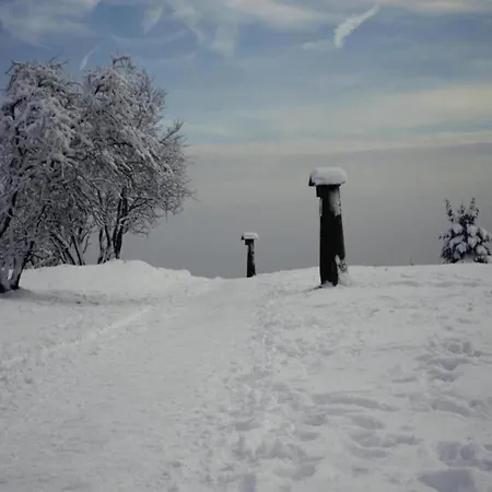 Gemuetlicher Rueckzugsort In Olsberg-elpe * Elpe