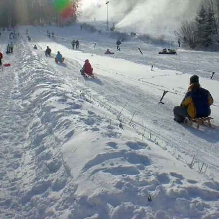 Gemuetlicher Rueckzugsort In Olsberg-elpe Apartment