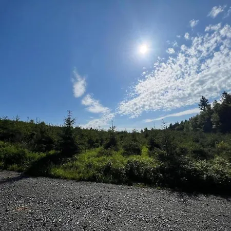 Gemuetlicher Rueckzugsort In Olsberg-elpe Apartment