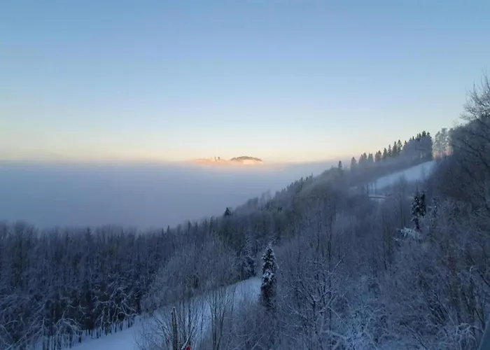 公寓 Gemuetlicher Rueckzugsort In Olsberg-elpe *