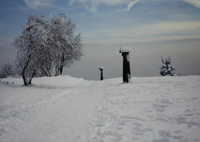 Gemuetlicher Rueckzugsort In Olsberg-elpe * Elpe