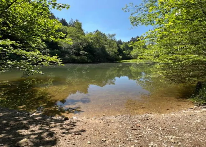 公寓 Gemuetlicher Rueckzugsort In Olsberg-elpe *