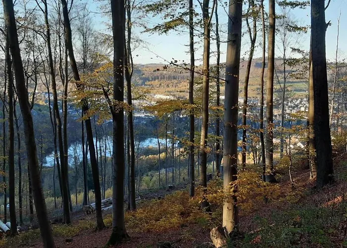 Gemuetlicher Rueckzugsort In Olsberg-elpe 公寓 Elpe