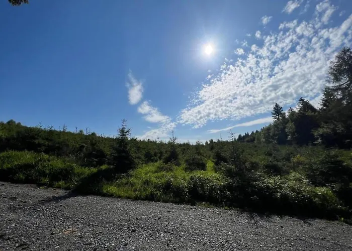 Gemuetlicher Rueckzugsort In Olsberg-elpe 公寓